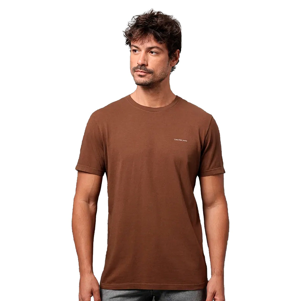 Camiseta Calvin Klein Logo Masculino