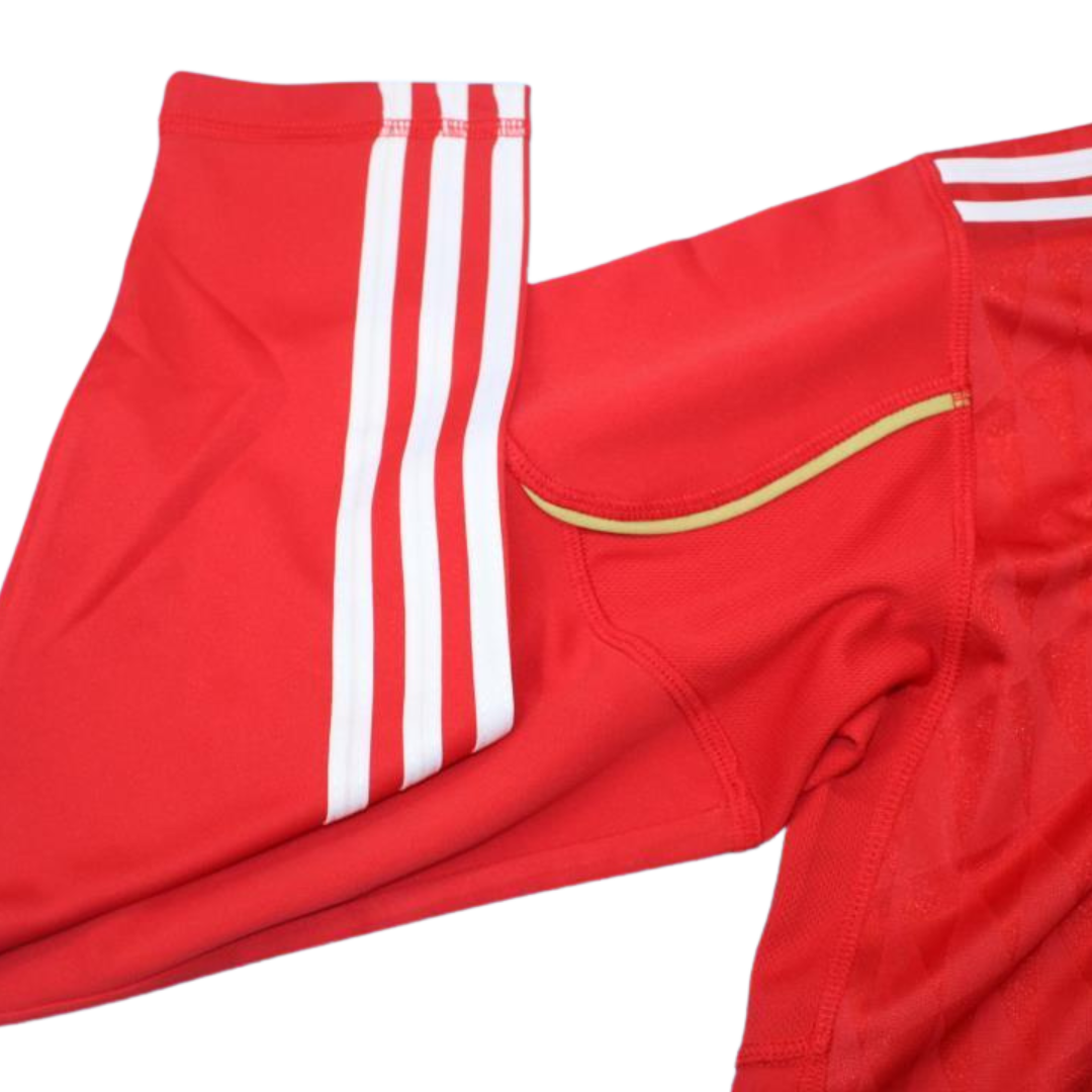 Camisa Liverpool Manga Longa 10/11 - Versão Retrô "Torres" Nº 9