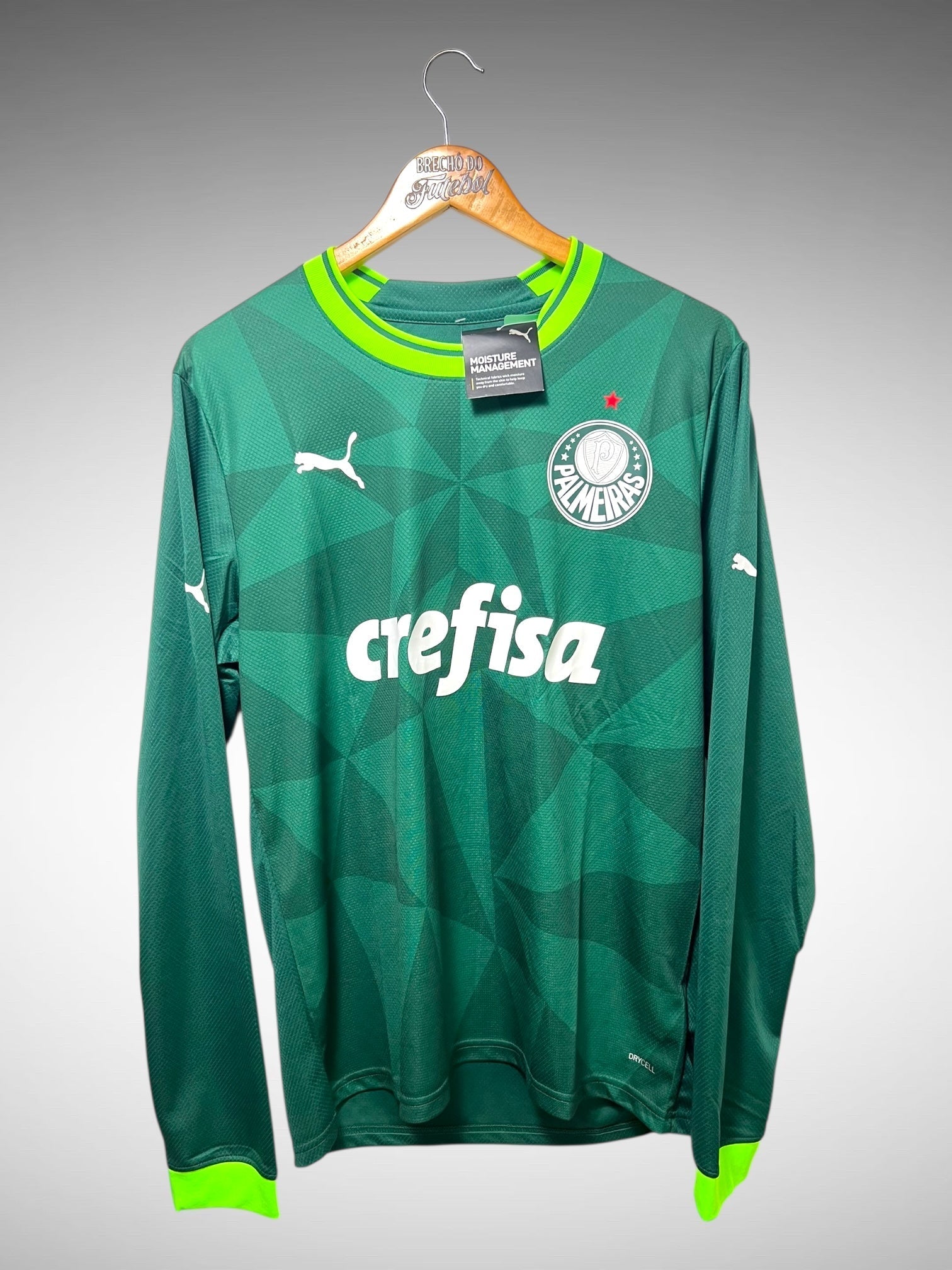 Palmeiras 2023 Primeira Camisa Tam G Mangas Longas.