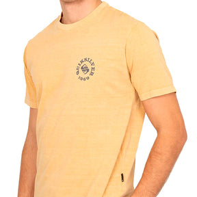 Camiseta Quiksilver Summer Masculino
